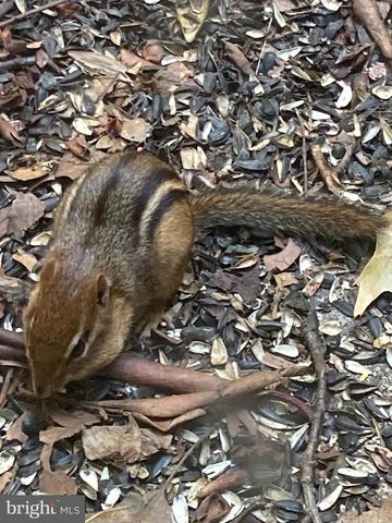 230 JUG HOLLOW RD, Valley Forge, PA 19481