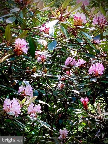 230 JUG HOLLOW RD, Valley Forge, PA 19481