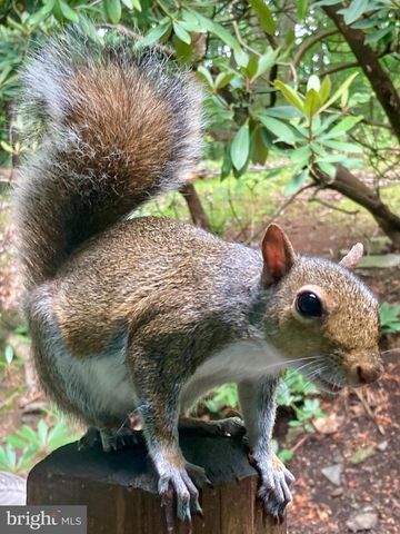 230 JUG HOLLOW RD, Valley Forge, PA 19481