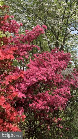 230 JUG HOLLOW RD, Valley Forge, PA 19481