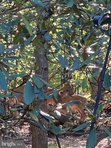 230 JUG HOLLOW RD, Valley Forge, PA 19481