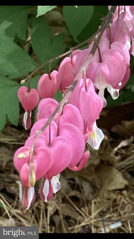 230 JUG HOLLOW RD, Valley Forge, PA 19481