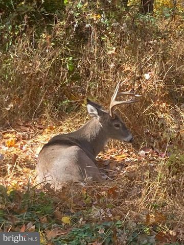 230 JUG HOLLOW RD, Valley Forge, PA 19481