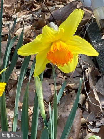 230 JUG HOLLOW RD, Valley Forge, PA 19481