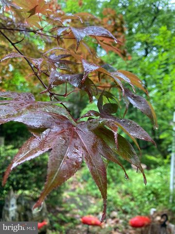 230 JUG HOLLOW RD, Valley Forge, PA 19481