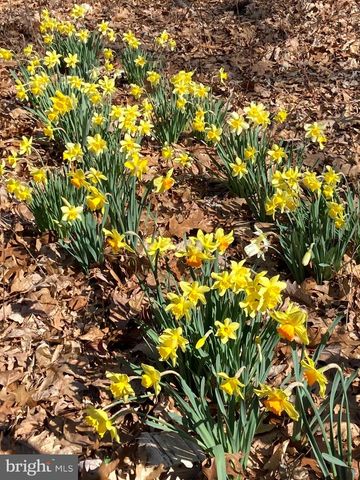 230 JUG HOLLOW RD, Valley Forge, PA 19481