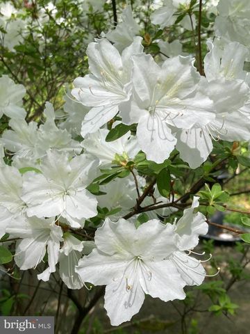 230 JUG HOLLOW RD, Valley Forge, PA 19481