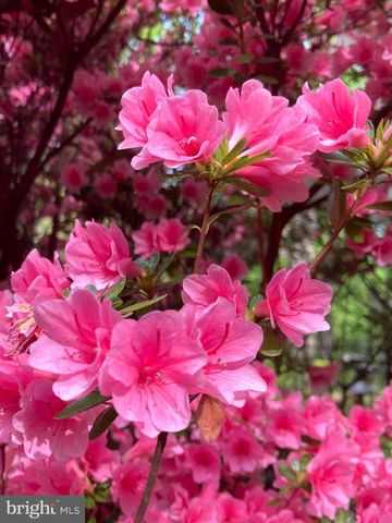 230 JUG HOLLOW RD, Valley Forge, PA 19481