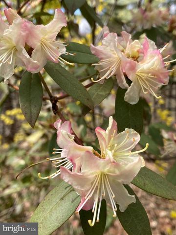 230 JUG HOLLOW RD, Valley Forge, PA 19481