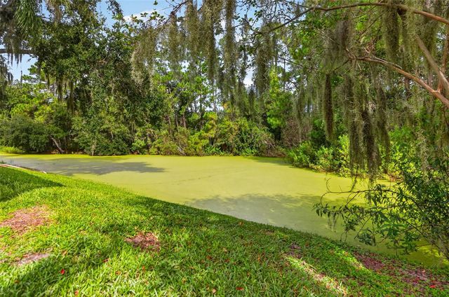 1016 HARDWOOD DRIVE, Valrico, FL 33596