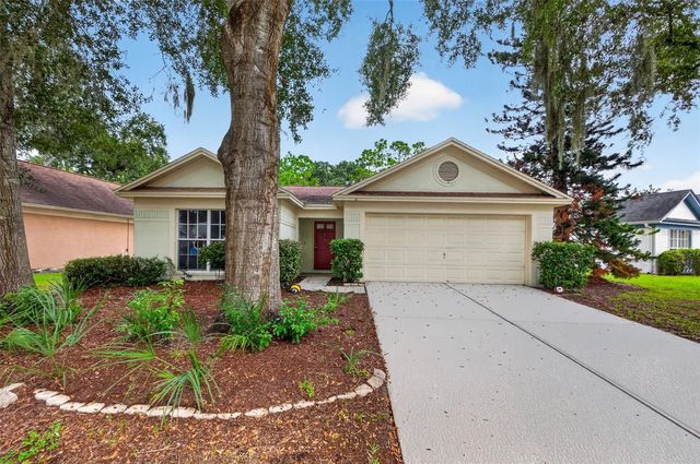 1016 HARDWOOD DRIVE, Valrico, FL 33596