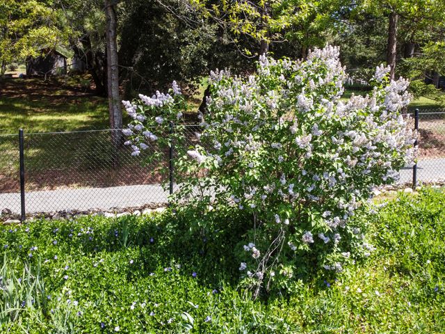 880 Union Hill Road, Douglas City, CA 96024