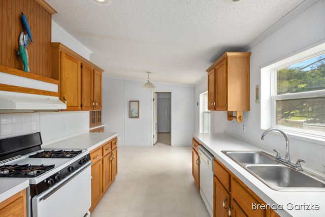 17055 Blackfoot Trail, Winfield Twp, MI 49329