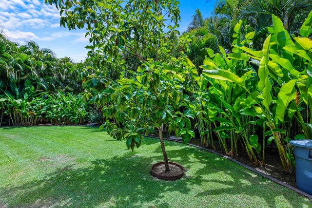 96 Moana Ave, Kihei, HI 96753