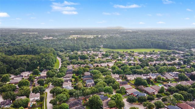 2514 Braley Park Lane, Conroe, TX 77385
