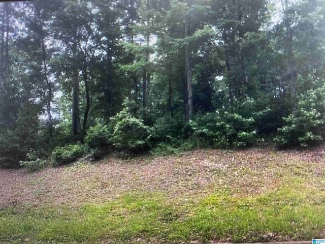 1202 WOODLANDS WAY, Hoover, AL 35080
