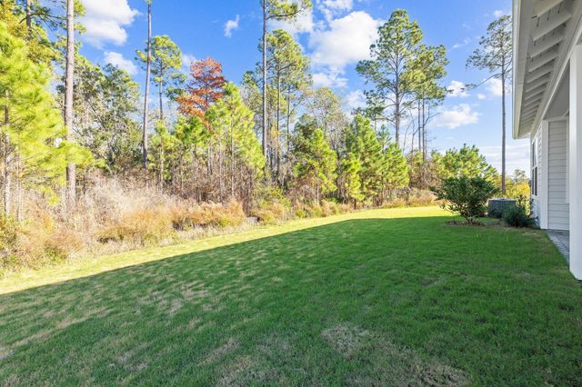 58 Ferndale Court, Inlet Beach, FL 32461