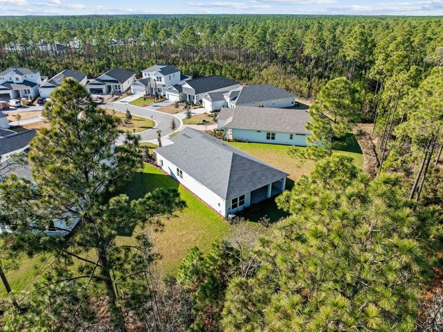 58 Ferndale Court, Inlet Beach, FL 32461