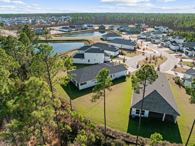 58 Ferndale Court, Inlet Beach, FL 32461