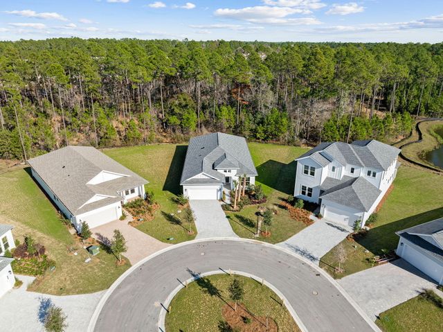 58 Ferndale Court, Inlet Beach, FL 32461