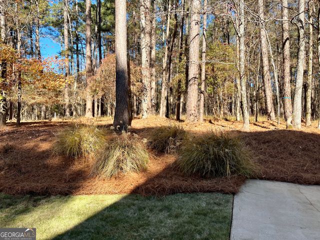 1211 Club Cove Drive, Greensboro, GA 30642