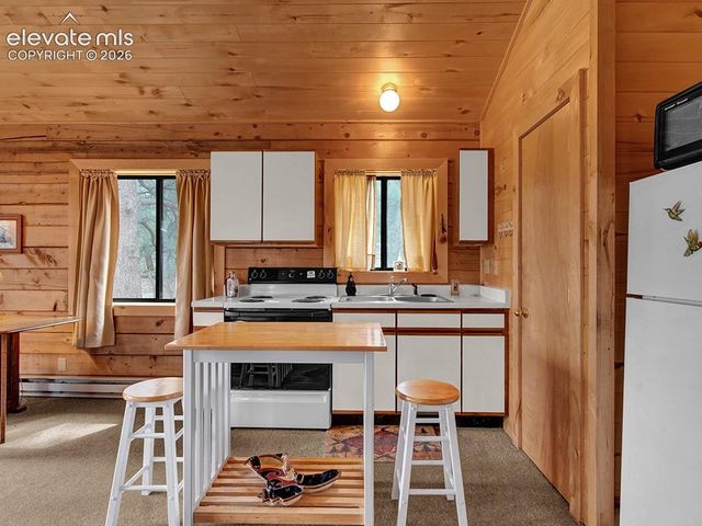 1462 Pulver Road, Lake George, CO 80827