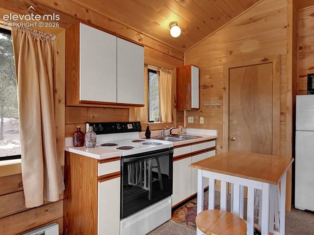 1462 Pulver Road, Lake George, CO 80827