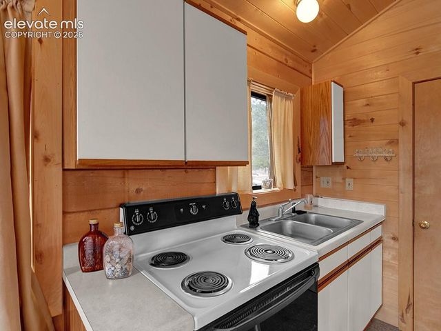 1462 Pulver Road, Lake George, CO 80827