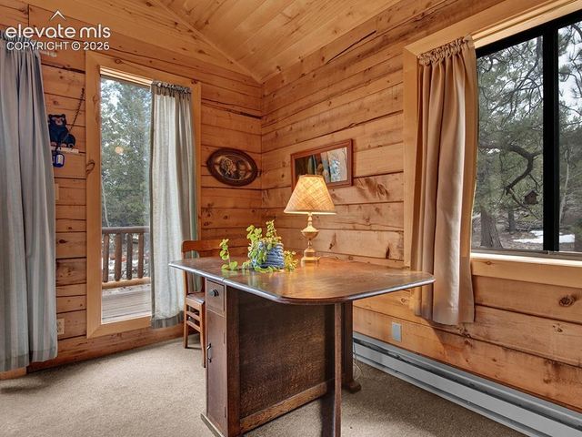 1462 Pulver Road, Lake George, CO 80827