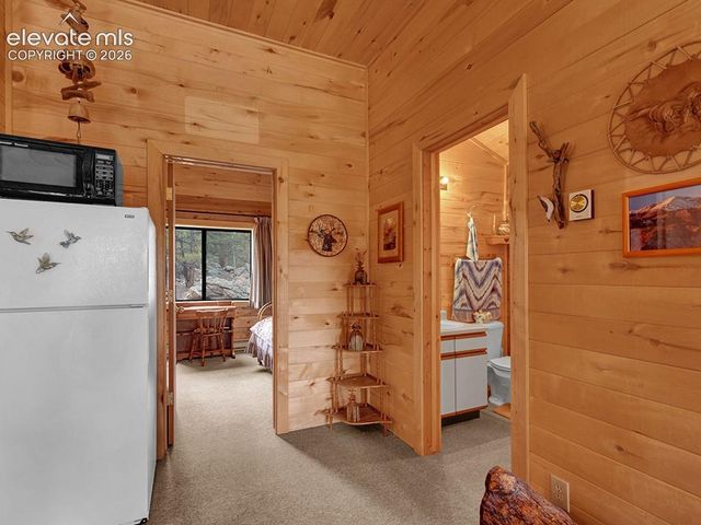 1462 Pulver Road, Lake George, CO 80827