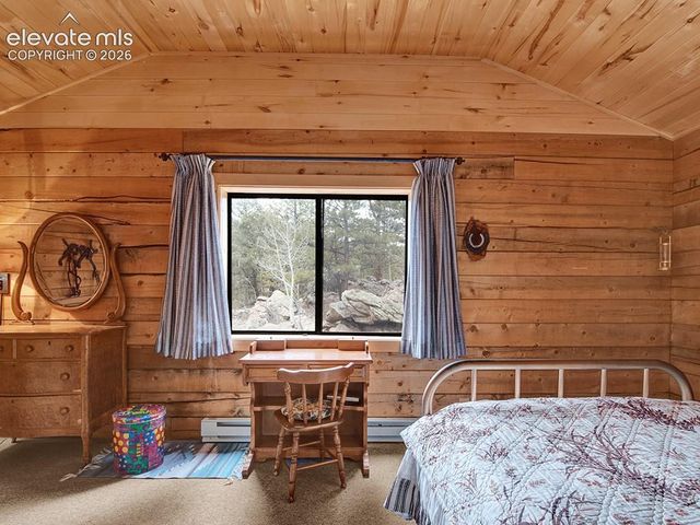 1462 Pulver Road, Lake George, CO 80827