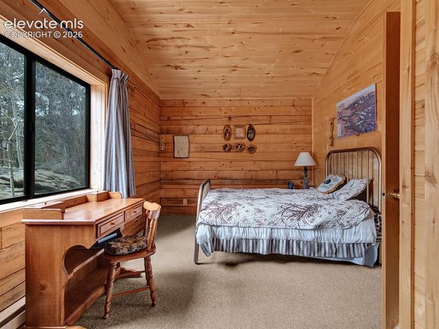 1462 Pulver Road, Lake George, CO 80827
