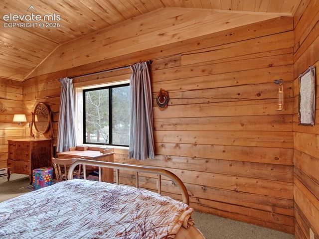 1462 Pulver Road, Lake George, CO 80827