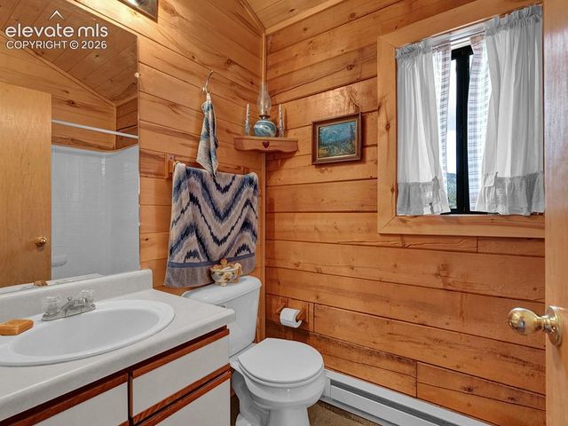 1462 Pulver Road, Lake George, CO 80827