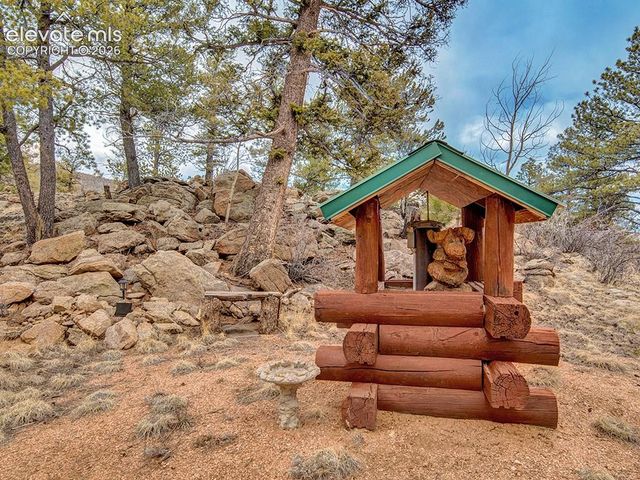 1462 Pulver Road, Lake George, CO 80827