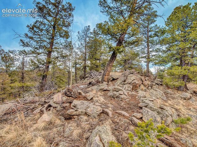 1462 Pulver Road, Lake George, CO 80827