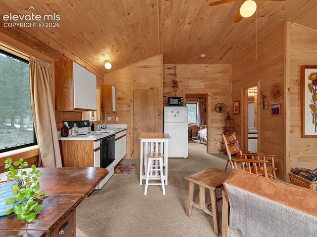 1462 Pulver Road, Lake George, CO 80827