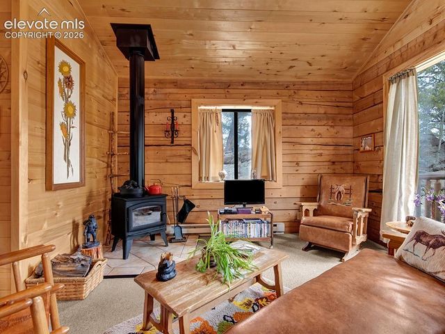 1462 Pulver Road, Lake George, CO 80827