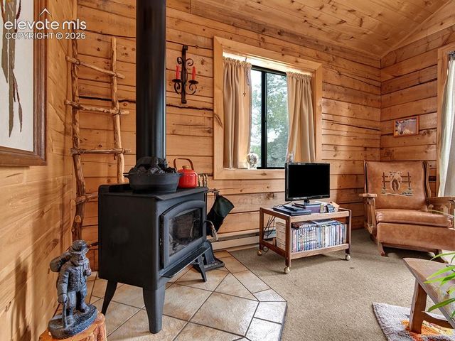 1462 Pulver Road, Lake George, CO 80827