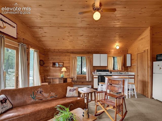 1462 Pulver Road, Lake George, CO 80827