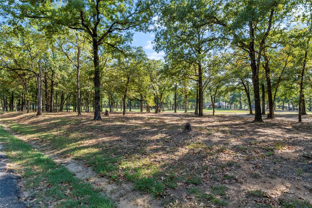 221 Colonial Drive, Mabank, TX 75156