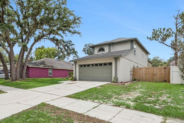 4017 QUAIL BRIAR DRIVE, Valrico, FL 33596