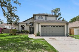 4017 QUAIL BRIAR DRIVE, Valrico, FL 33596
