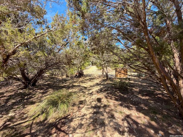 1660 AND 1648 Westview Court Drive, Canyon Lake, TX 78133