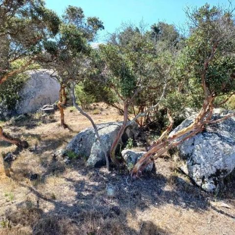 27623 Cougar Pass, Escondido, CA 92026