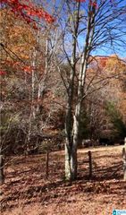 7274 TAYLORS FERRY ROAD, Oak Grove, AL 35023