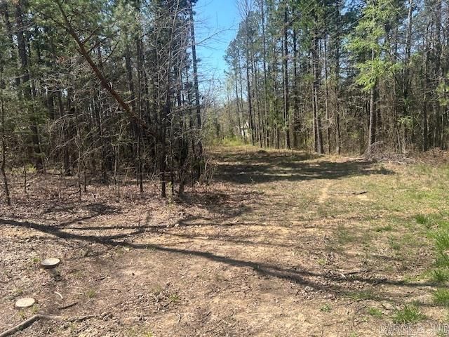 114 Coyote Canyon Road, Shirley, AR 72153