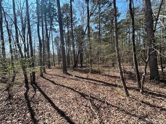 114 Coyote Canyon Road, Shirley, AR 72153