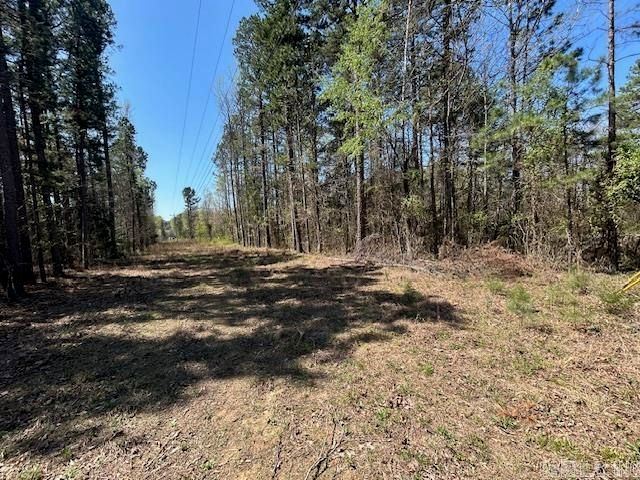 114 Coyote Canyon Road, Shirley, AR 72153