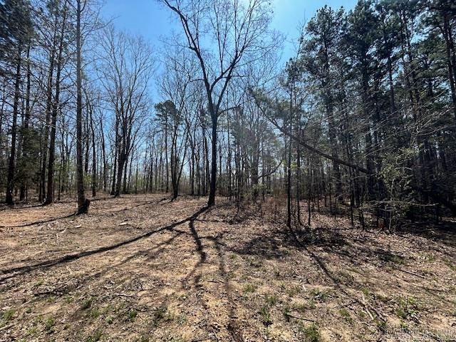 114 Coyote Canyon Road, Shirley, AR 72153